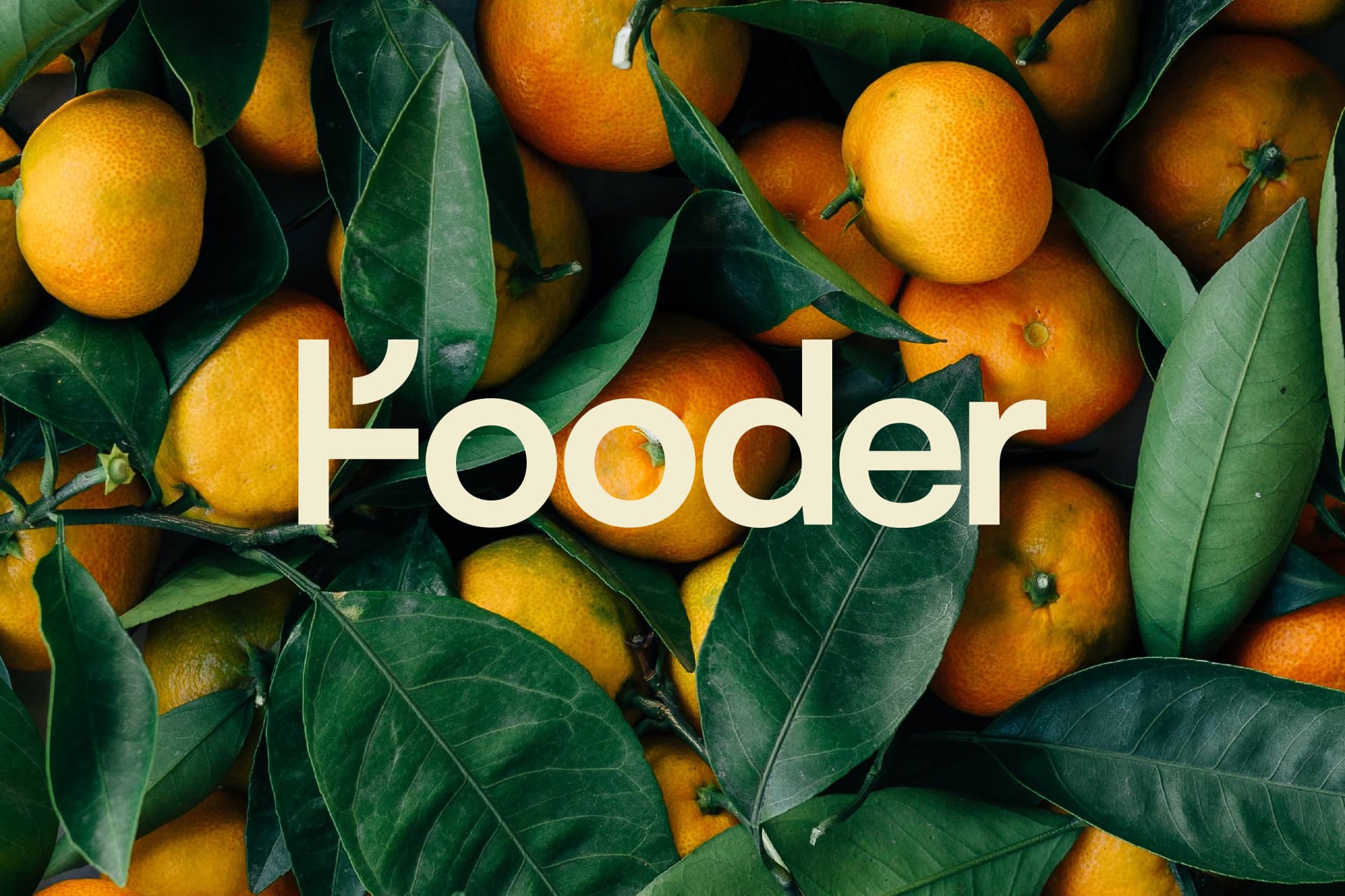 Fooder: l'università del cibo dell'Emilia-Romagna