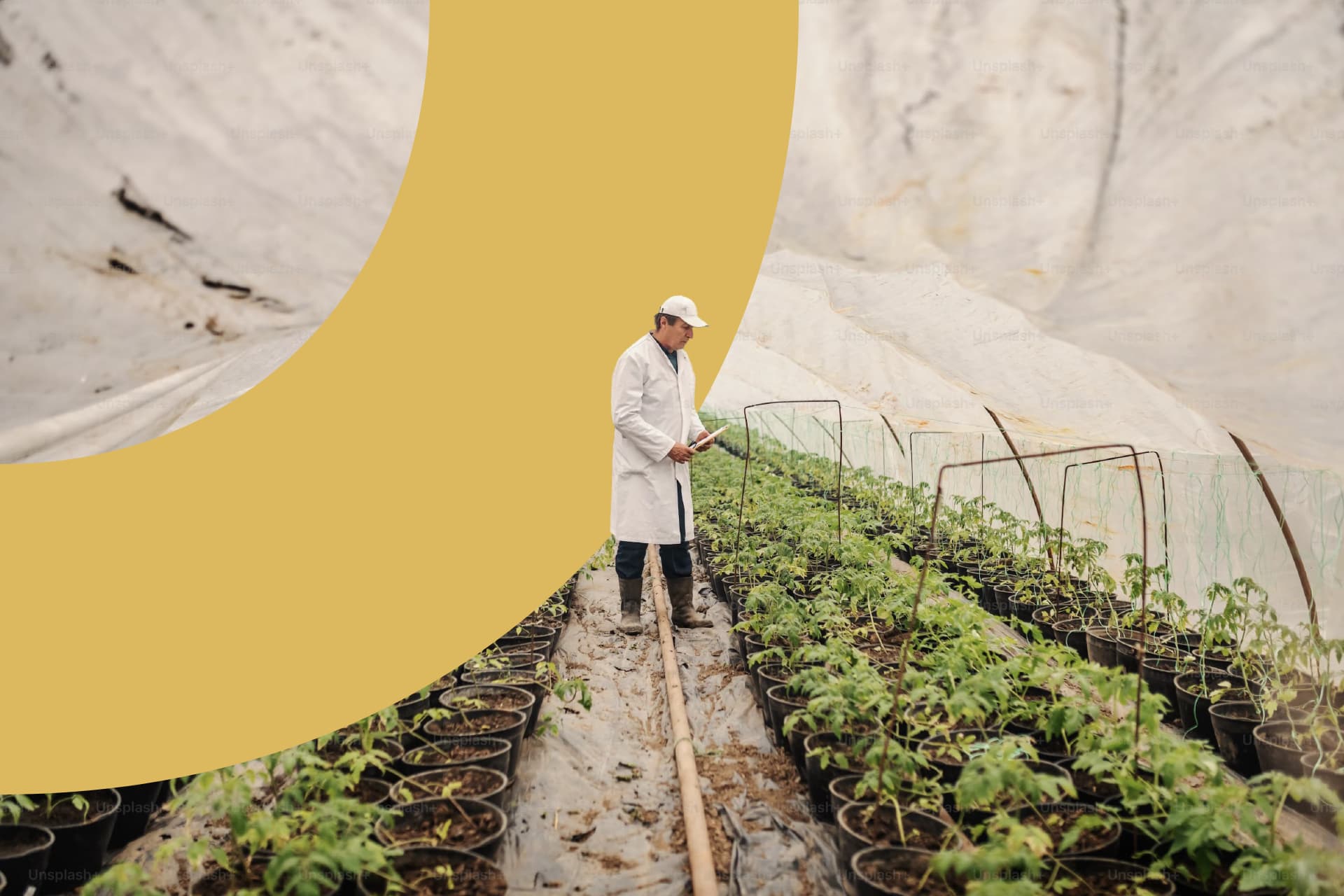 Fooder: l'università del cibo dell'Emilia-Romagna